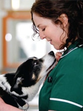 Linda is a graduate of the Karen Pryor Academy for Animal Training and Behaviour