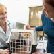 Veterinary nurse, client, cat in basket