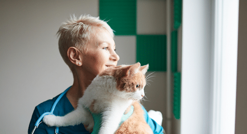 Female vet nurse with cat